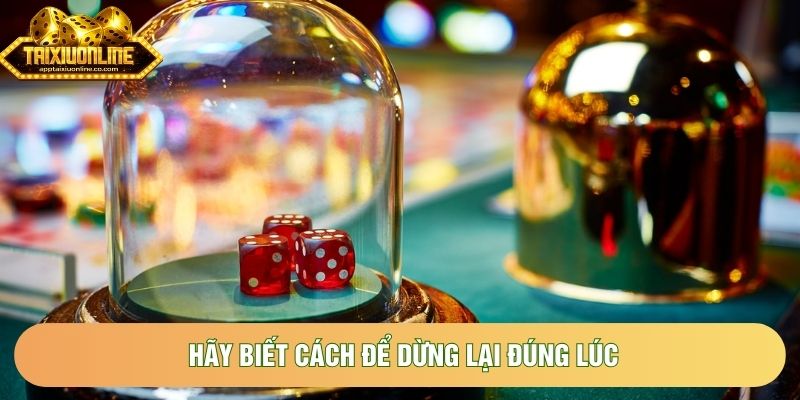 Hãy biết cách để dừng lại đúng lúc